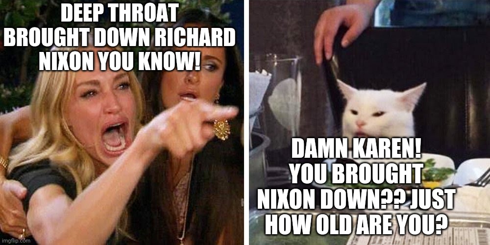 Smudge the cat | DEEP THROAT BROUGHT DOWN RICHARD NIXON YOU KNOW! DAMN KAREN! YOU BROUGHT NIXON DOWN?? JUST HOW OLD ARE YOU? | image tagged in smudge the cat | made w/ Imgflip meme maker