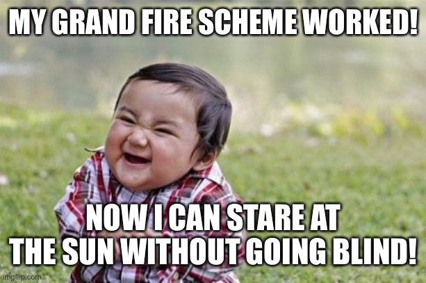 Evil Toddler | MY GRAND FIRE SCHEME WORKED! NOW I CAN STARE AT THE SUN WITHOUT GOING BLIND! | image tagged in memes,evil toddler | made w/ Imgflip meme maker