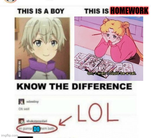 Know the difference | HOMEWORK; DO | image tagged in homework,but why why would you do that,anime girl,anime boi | made w/ Imgflip meme maker