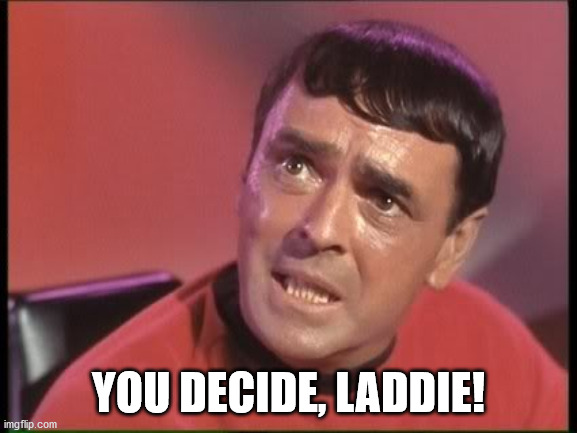 Scotty | YOU DECIDE, LADDIE! | image tagged in scotty | made w/ Imgflip meme maker