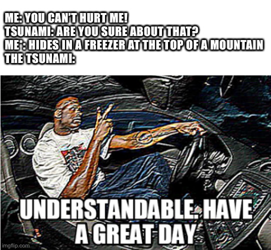 Tsunami’s worst fear | ME: YOU CAN’T HURT ME!
TSUNAMI: ARE YOU SURE ABOUT THAT?
ME*: HIDES IN A FREEZER AT THE TOP OF A MOUNTAIN
THE TSUNAMI: | image tagged in understandable have a great day | made w/ Imgflip meme maker