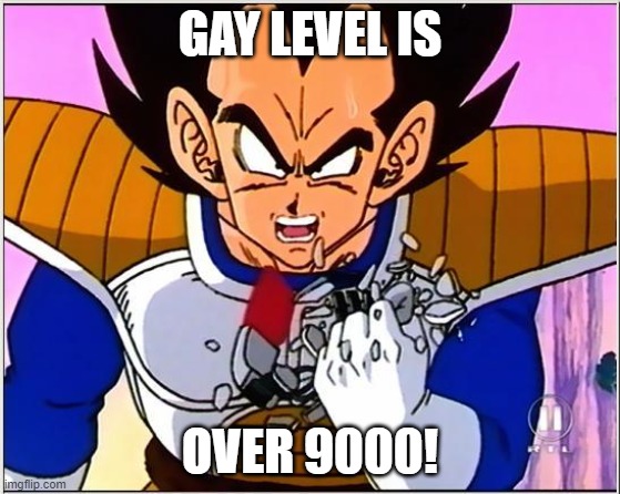 Vegeta over 9000 | GAY LEVEL IS OVER 9000! | image tagged in vegeta over 9000 | made w/ Imgflip meme maker
