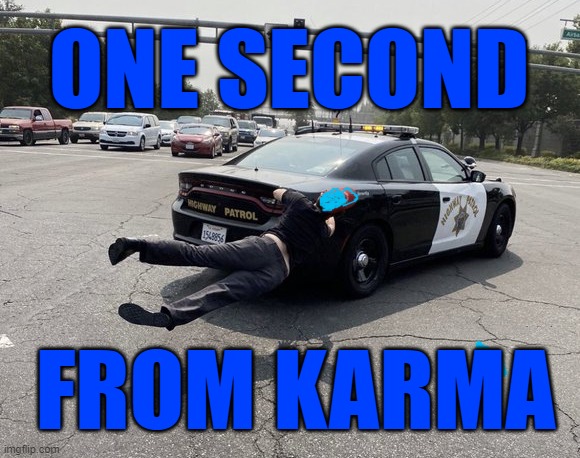 one second from karma | ONE SECOND; FROM KARMA | image tagged in karma,stupid,back the police,police,2020 | made w/ Imgflip meme maker