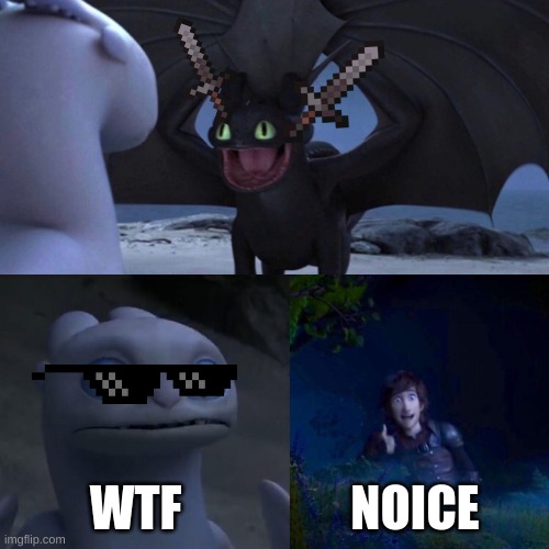 night fury | WTF; NOICE | image tagged in night fury | made w/ Imgflip meme maker