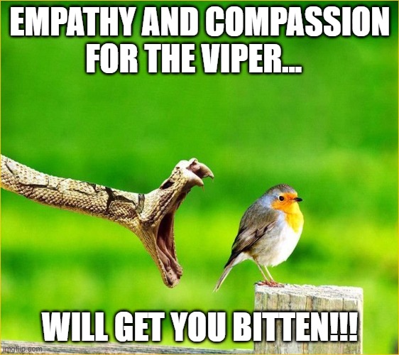 Empathy and Compassion Gone Wrong | EMPATHY AND COMPASSION FOR THE VIPER... WILL GET YOU BITTEN!!! | image tagged in snake reality bites,donald trump,compassion,empathy,positivity,inspirational memes | made w/ Imgflip meme maker