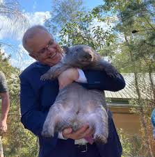 PM and Wombat Blank Meme Template