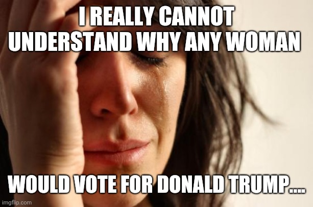 Women | I REALLY CANNOT UNDERSTAND WHY ANY WOMAN; WOULD VOTE FOR DONALD TRUMP.... | image tagged in memes,first world problems,donald trump | made w/ Imgflip meme maker