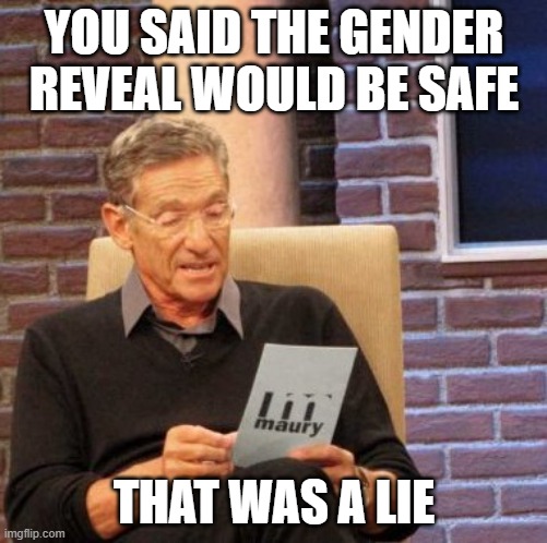 The party gave you that smokey mountain high. | YOU SAID THE GENDER REVEAL WOULD BE SAFE; THAT WAS A LIE | image tagged in memes,maury lie detector,gender reveal,california,wildfires | made w/ Imgflip meme maker