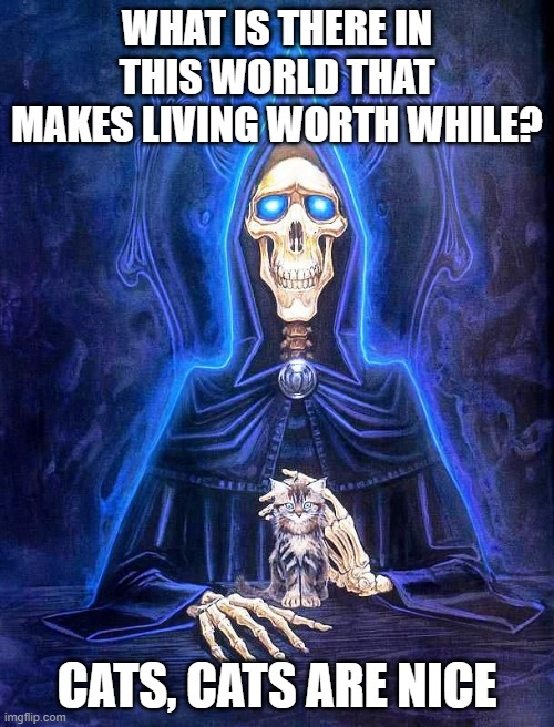 Death on Cats | WHAT IS THERE IN THIS WORLD THAT MAKES LIVING WORTH WHILE? CATS, CATS ARE NICE | image tagged in discworld,death,cats | made w/ Imgflip meme maker