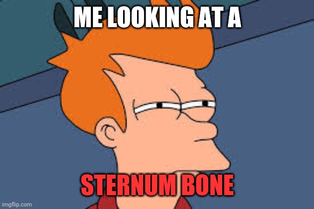 hmmm | ME LOOKING AT A; STERNUM BONE | image tagged in doubt,sternum bone,dark humor,humor,hmm,bone | made w/ Imgflip meme maker