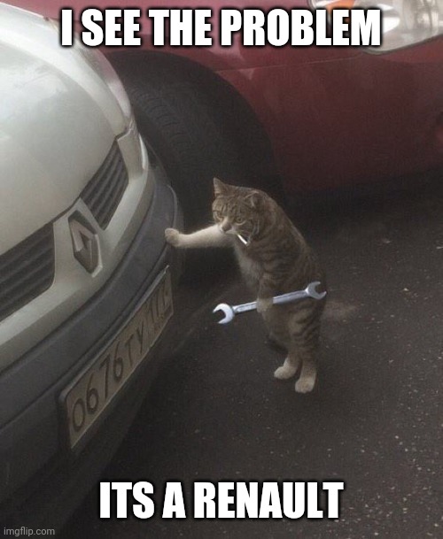 Mechanic cat | I SEE THE PROBLEM; ITS A RENAULT | image tagged in mechanic cat,renault,car,mechanic,french | made w/ Imgflip meme maker