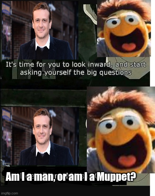 Am I a man, or am I a Muppet? | Am I a man, or am I a Muppet? | image tagged in walter,muppets,questions | made w/ Imgflip meme maker