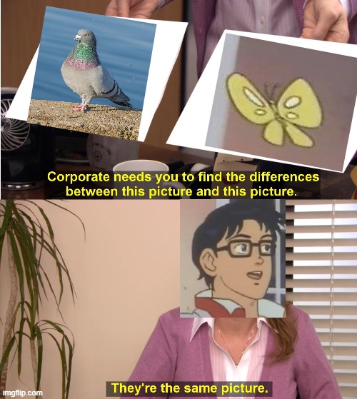 is this a pigeon? | image tagged in memes,they're the same picture,is this a pigeon | made w/ Imgflip meme maker