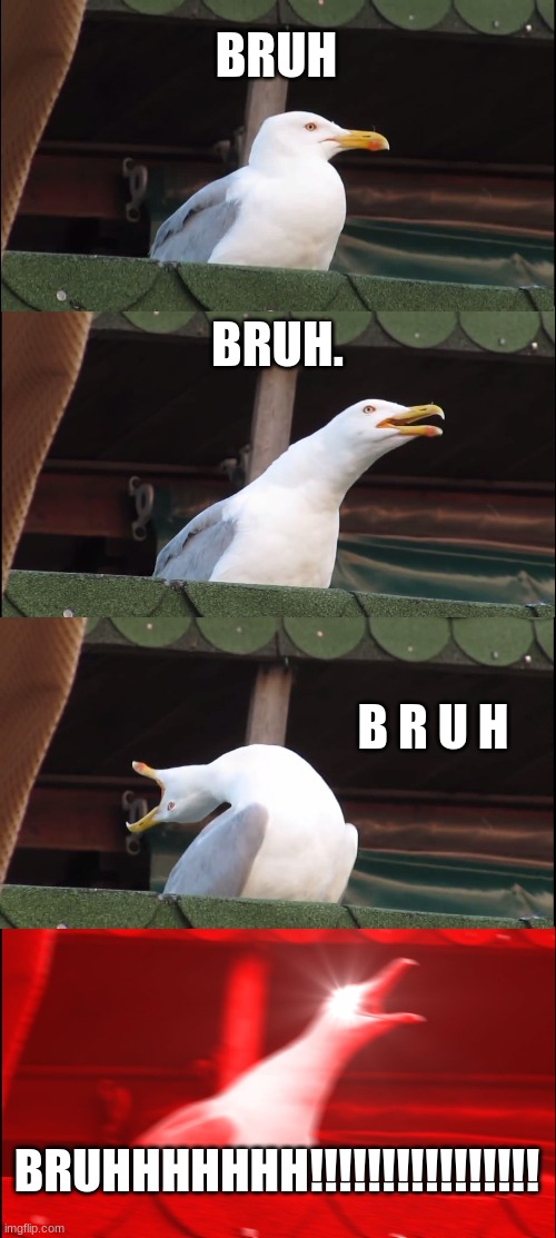 bruh | BRUH; BRUH. B R U H; BRUHHHHHHH!!!!!!!!!!!!!!!! | image tagged in memes,inhaling seagull | made w/ Imgflip meme maker