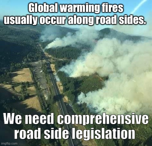 Road sides are the reason | Global warming fires usually occur along road sides. We need comprehensive road side legislation | image tagged in protest,golden globes,fire,leftists | made w/ Imgflip meme maker