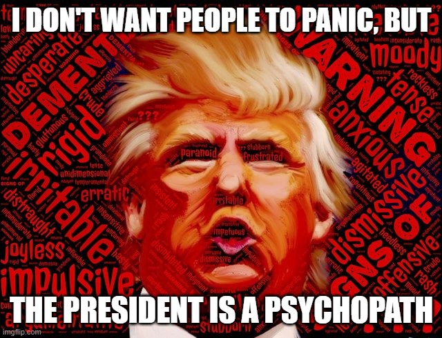Trump Suffers from Severe Narcissistic Personality Disorder | I DON'T WANT PEOPLE TO PANIC, BUT; THE PRESIDENT IS A PSYCHOPATH | image tagged in mentally ill,psychopath,a liar and a murderer,impeached,trump equals death,election 2020 | made w/ Imgflip meme maker
