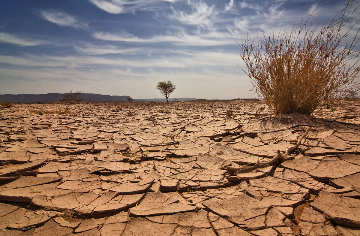 Drought in Australia Blank Meme Template