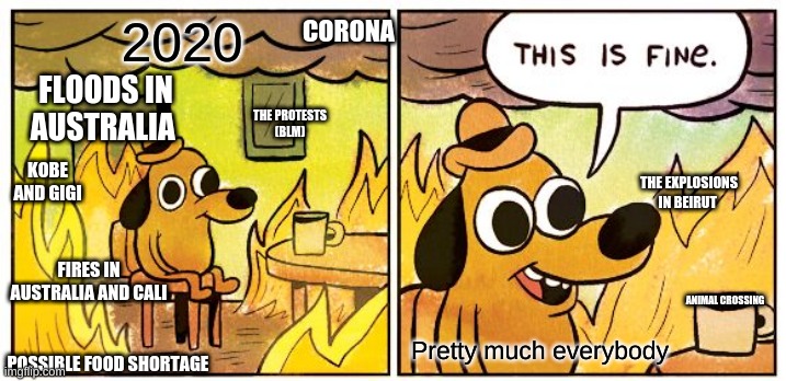 2020 is a disaster | 2020; CORONA; TRUMP NOT BEING IMPEACHED YET; FLOODS IN AUSTRALIA; THE PROTESTS
(BLM); KOBE AND GIGI; THE EXPLOSIONS IN BEIRUT; FIRES IN AUSTRALIA AND CALI; ANIMAL CROSSING; Pretty much everybody; POSSIBLE FOOD SHORTAGE | image tagged in memes,corona,australia,california fires,kobe,beruit explosions | made w/ Imgflip meme maker