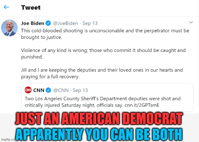 APPARENTLY YOU CAN BE BOTH JUST AN AMERICAN DEMOCRAT | made w/ Imgflip meme maker