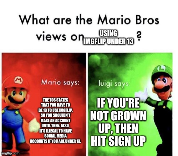 Mario Bros Views | THE TOS STATES THAT YOU HAVE TO BE 13 TO USE IMGFLIP, SO YOU SHOULDN'T MAKE AN ACCOUNT UNTIL THEN. ALSO, IT'S ILLEGAL TO HAVE SOCIAL MEDIA A | image tagged in mario bros views | made w/ Imgflip meme maker