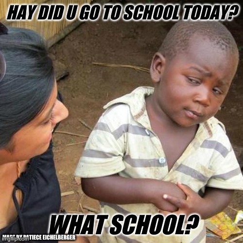 Third World Skeptical kid | HAY DID U GO TO SCHOOL TODAY? WHAT SCHOOL? MADE BY PATIECE EICHELBERGER | image tagged in memes,third world skeptical kid | made w/ Imgflip meme maker