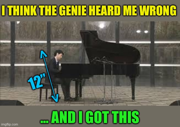 Pianista | I THINK THE GENIE HEARD ME WRONG ... AND I GOT THIS < > ________ 12” | image tagged in pianista | made w/ Imgflip meme maker