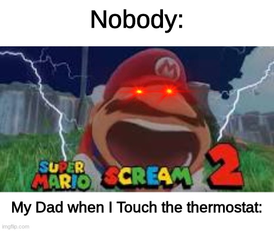 RAAAAAAAAAAAAAAAAAAAAAAAH!!1!!!1!1!1111!1!!!!!1 | Nobody:; My Dad when I Touch the thermostat: | image tagged in memes | made w/ Imgflip meme maker