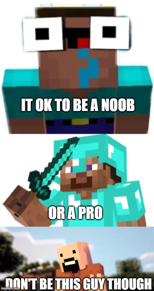 Noob vs Pro - Imgflip