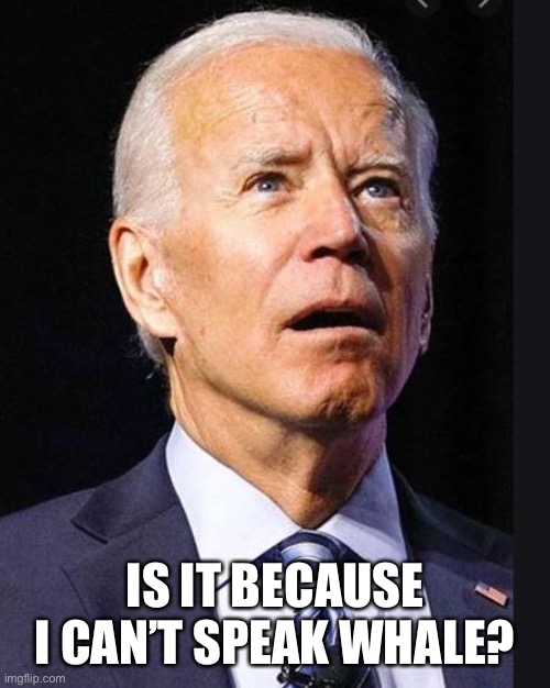 Confused Biden | IS IT BECAUSE I CAN’T SPEAK WHALE? | image tagged in confused biden | made w/ Imgflip meme maker