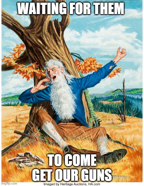 Rip Van Winkle | WAITING FOR THEM; TO COME GET OUR GUNS | image tagged in rip van winkle | made w/ Imgflip meme maker