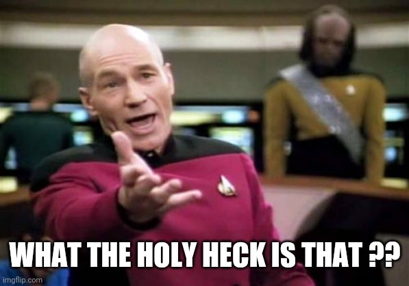 Picard Wtf Meme | WHAT THE HOLY HECK IS THAT ?? | image tagged in memes,picard wtf | made w/ Imgflip meme maker
