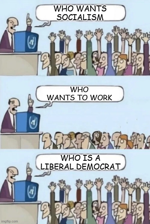 And this is why it doesn't work | WHO WANTS SOCIALISM; WHO WANTS TO WORK; WHO IS A LIBERAL DEMOCRAT | image tagged in crowd poll,liberals,democrats,capitalism,trump 2020,joe biden | made w/ Imgflip meme maker