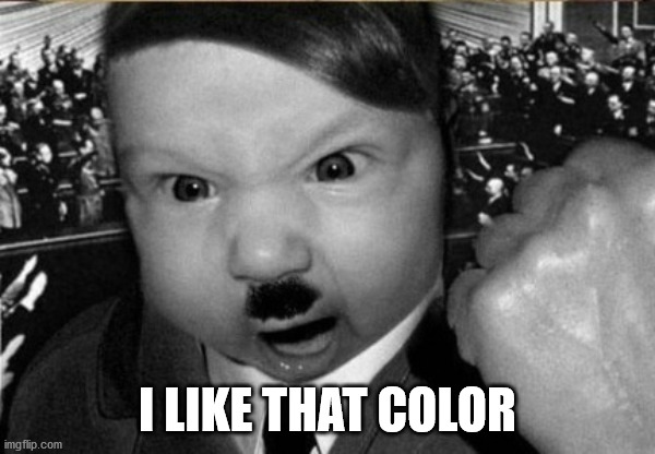 baby hitler | I LIKE THAT COLOR | image tagged in baby hitler | made w/ Imgflip meme maker