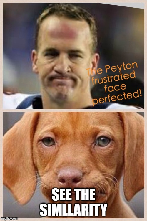 comments plz | SEE THE SIMLLARITY | image tagged in football,bad pun dog | made w/ Imgflip meme maker