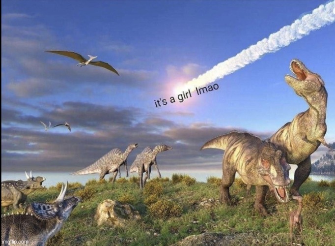 gender reveals be like | image tagged in dinosaurs,gender reveal | made w/ Imgflip meme maker