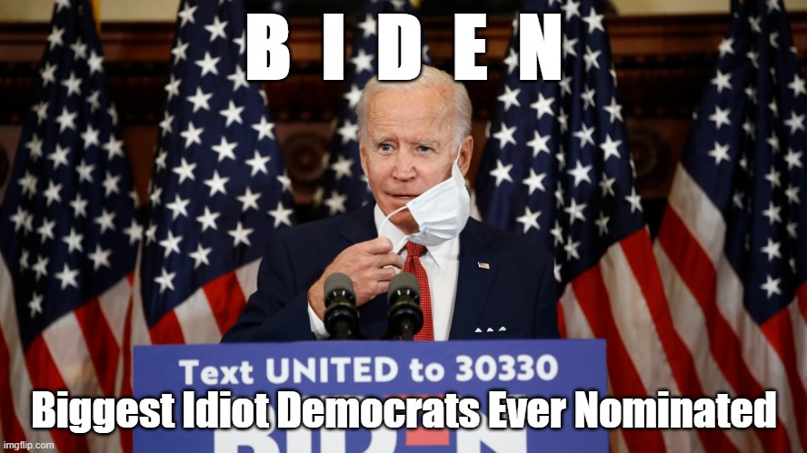 What's in a name | B  I  D  E  N; Biggest Idiot Democrats Ever Nominated | image tagged in politics | made w/ Imgflip meme maker