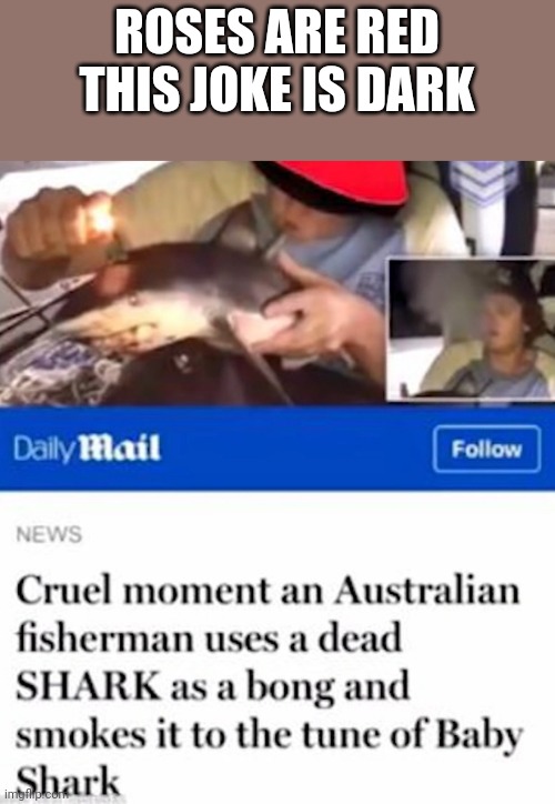 ROSES ARE RED
THIS JOKE IS DARK | image tagged in memes,funny memes | made w/ Imgflip meme maker