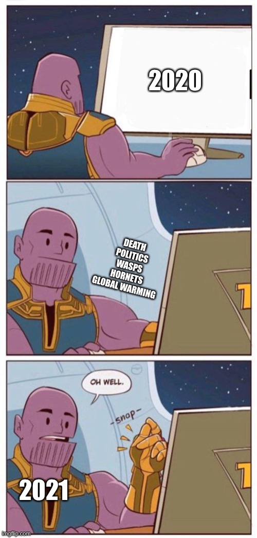 Oh Well Thanos | 2020 DEATH
POLITICS
WASPS
HORNETS
GLOBAL WARMING 2021 | image tagged in oh well thanos | made w/ Imgflip meme maker