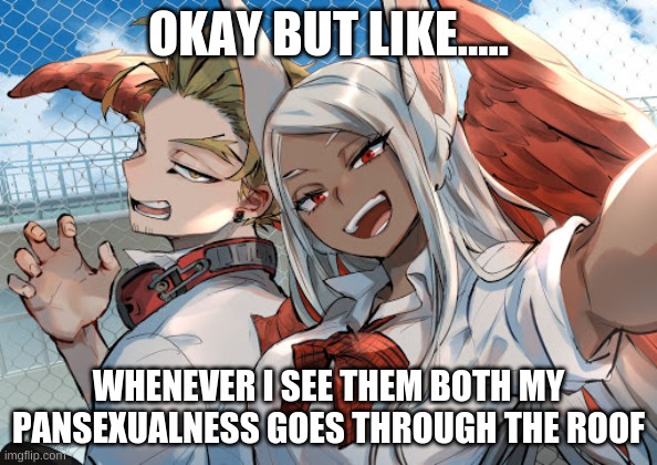 Hawks & Mirko | OKAY BUT LIKE..... WHENEVER I SEE THEM BOTH MY PANSEXUALNESS GOES THROUGH THE ROOF | image tagged in my hero academia,hawks,mirko,anime,pansexual,lgbtq | made w/ Imgflip meme maker