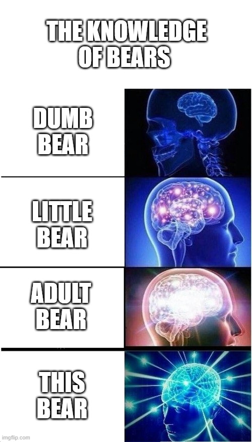 Expanding Brain | THE KNOWLEDGE OF BEARS; DUMB BEAR; LITTLE BEAR; ADULT BEAR; THIS BEAR | image tagged in memes,expanding brain | made w/ Imgflip meme maker
