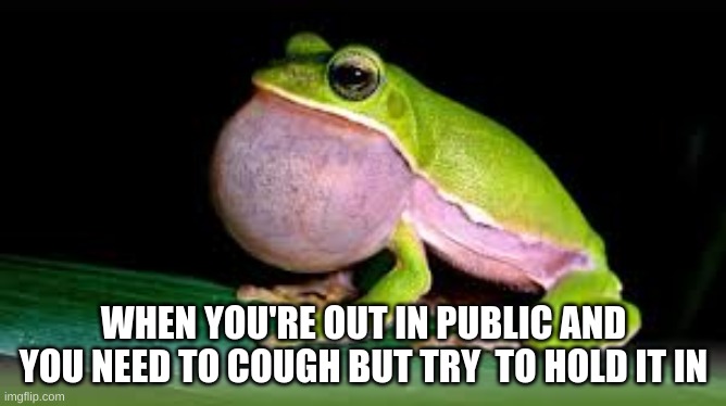when someone needs to cough in public | WHEN YOU'RE OUT IN PUBLIC AND YOU NEED TO COUGH BUT TRY  TO HOLD IT IN | image tagged in frog | made w/ Imgflip meme maker