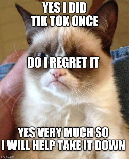 Grumpy Cat |  YES I DID TIK TOK ONCE; DO I REGRET IT; YES VERY MUCH SO I WILL HELP TAKE IT DOWN | image tagged in memes,grumpy cat | made w/ Imgflip meme maker