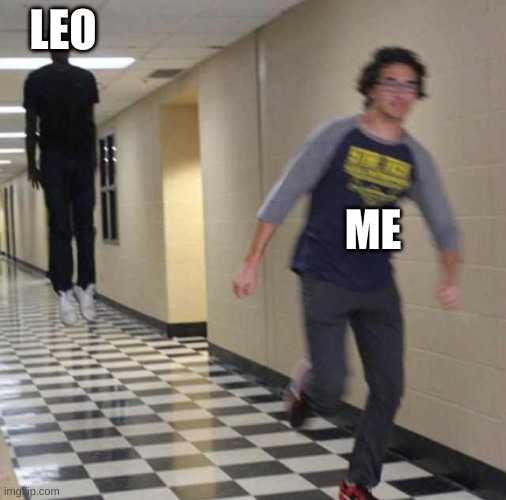 floating boy chasing running boy | LEO ME | image tagged in floating boy chasing running boy | made w/ Imgflip meme maker