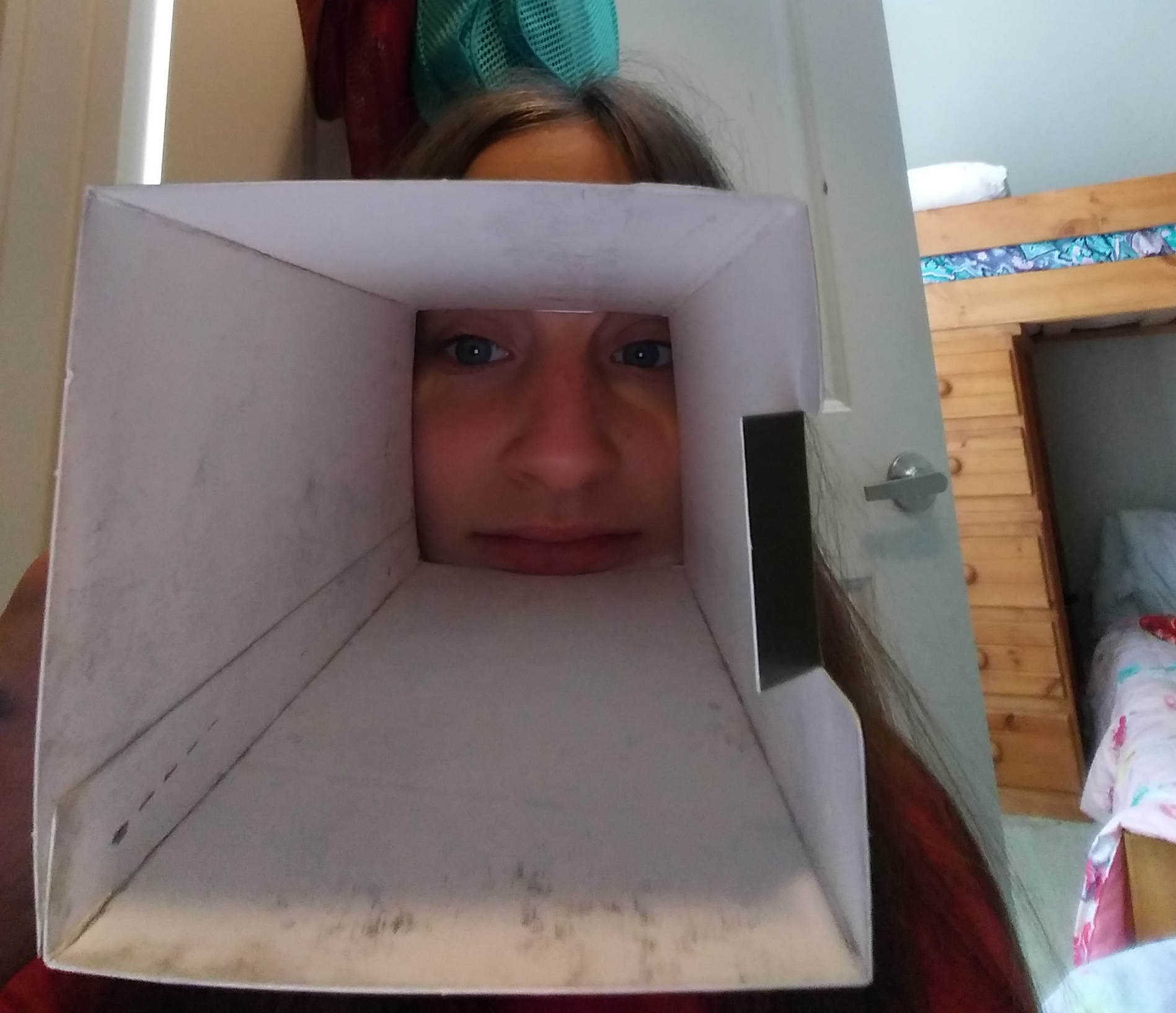 Me in some box. Blank Meme Template