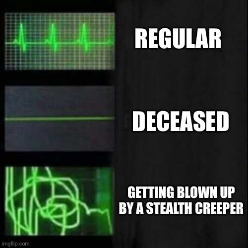 Yes | REGULAR; DECEASED; GETTING BLOWN UP BY A STEALTH CREEPER | image tagged in leave it blank please,minecraft,creeper,creeper awww man,minecraft creeper | made w/ Imgflip meme maker
