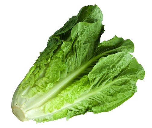 Romaine Calm Blank Meme Template