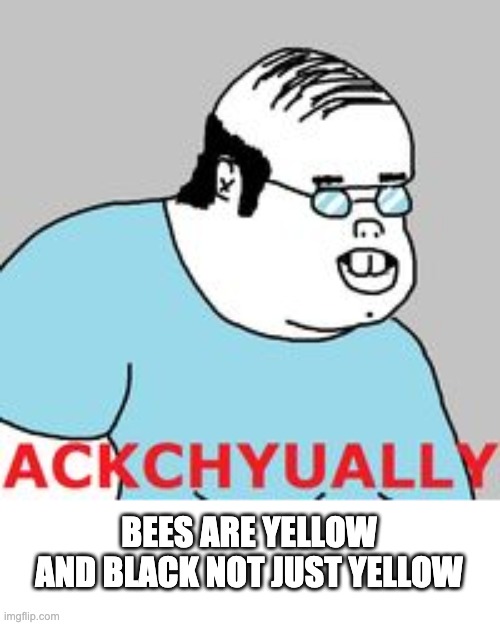 ackchyually | BEES ARE YELLOW AND BLACK NOT JUST YELLOW | image tagged in ackchyually | made w/ Imgflip meme maker