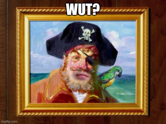 Painty the Pirate | WUT? | image tagged in painty the pirate | made w/ Imgflip meme maker