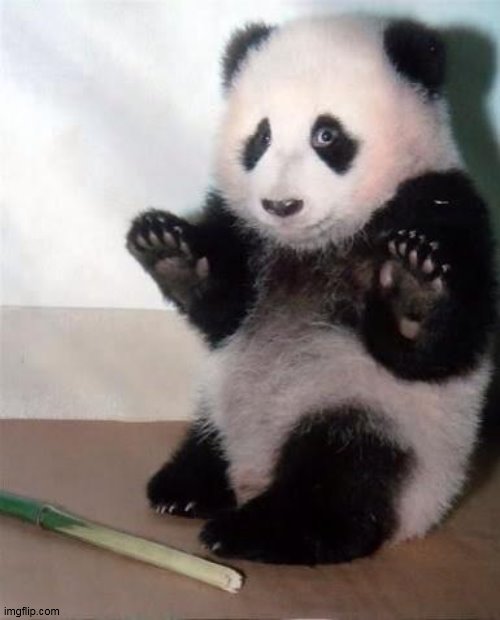 Hands Up panda | image tagged in hands up panda | made w/ Imgflip meme maker