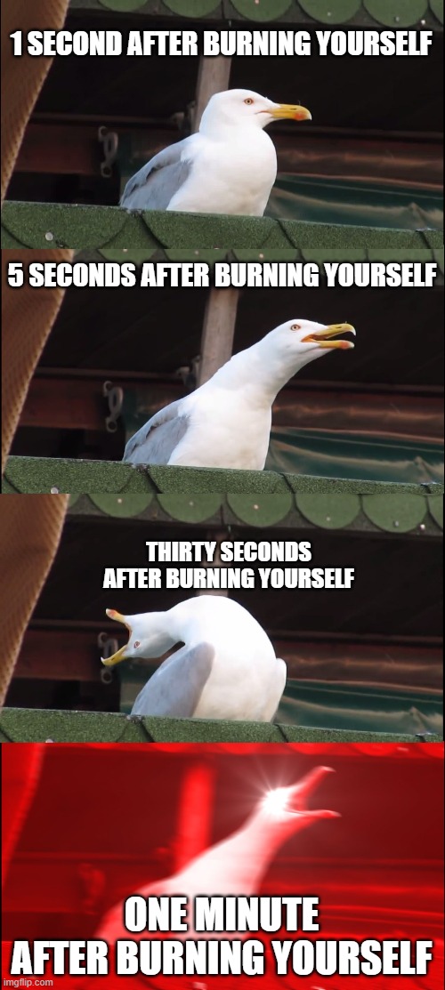 It hurts :( | 1 SECOND AFTER BURNING YOURSELF; 5 SECONDS AFTER BURNING YOURSELF; THIRTY SECONDS AFTER BURNING YOURSELF; ONE MINUTE AFTER BURNING YOURSELF | image tagged in memes,inhaling seagull | made w/ Imgflip meme maker